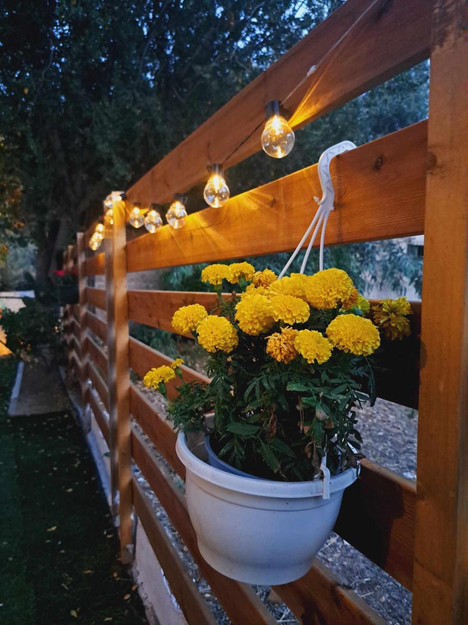 Felina House Villa Артемида Екстериор снимка